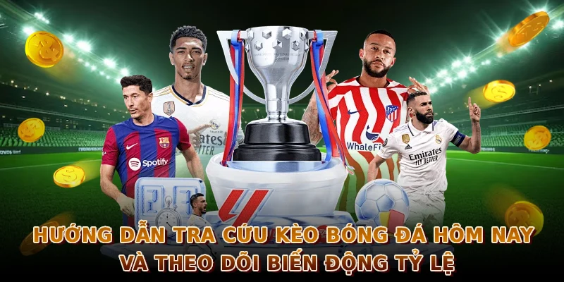 Hướng dẫn tra cứu kèo bóng đá hôm nay và theo dõi biến động tỷ lệ