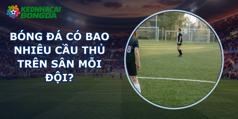 Bóng Đá Có Bao Nhiêu Cầu Thủ