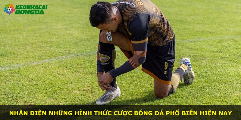 Nhận diện những hình thức cược bóng đá phổ biến hiện nay