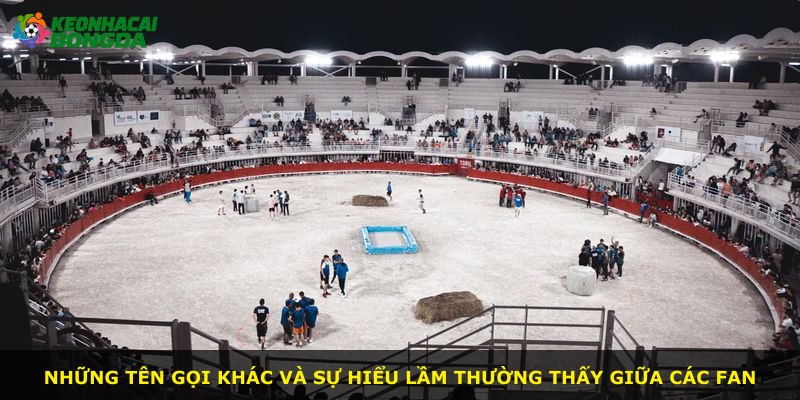 Những tên gọi khác và sự hiểu lầm thường thấy giữa các fan