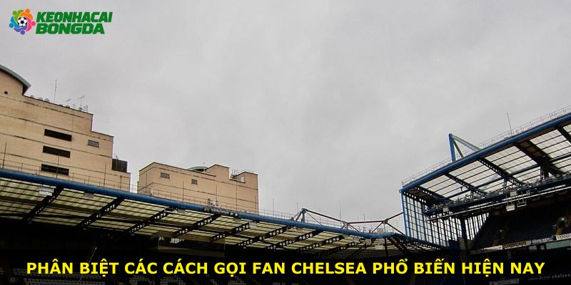 Phân biệt các cách gọi fan Chelsea phổ biến hiện nay