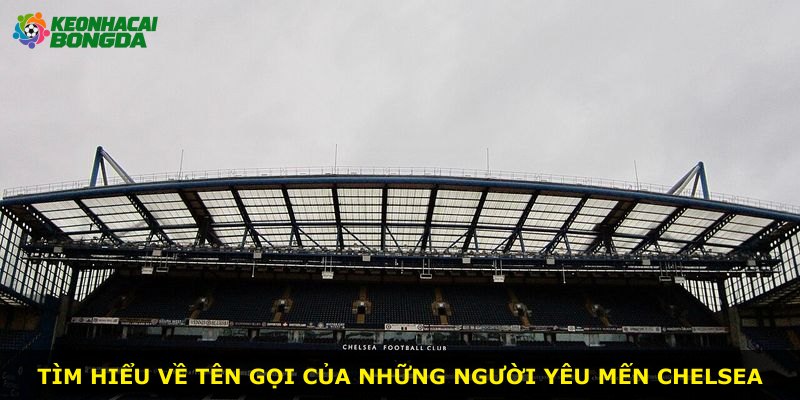 Tìm hiểu về tên gọi của những người yêu mến Chelsea