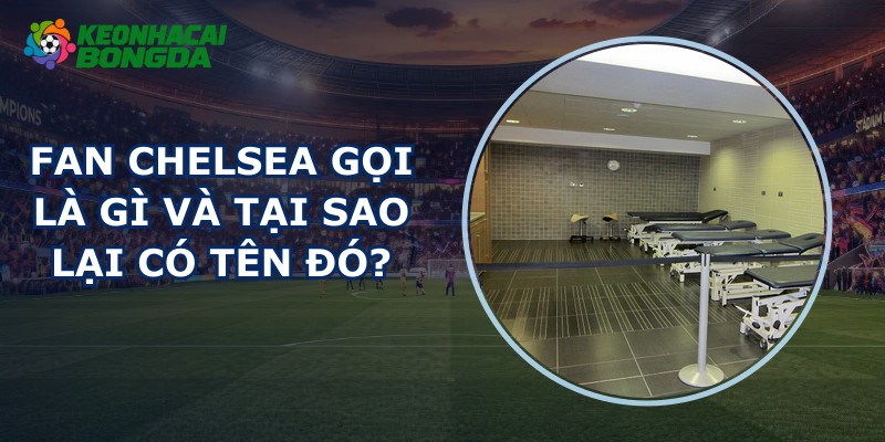 Fan Chelsea Gọi Là Gì