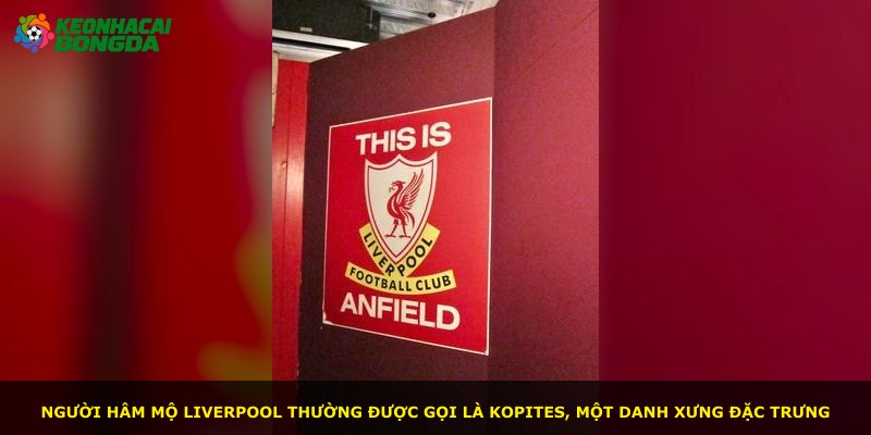 Người hâm mộ Liverpool thường được gọi là Kopites, một danh xưng đặc trưng