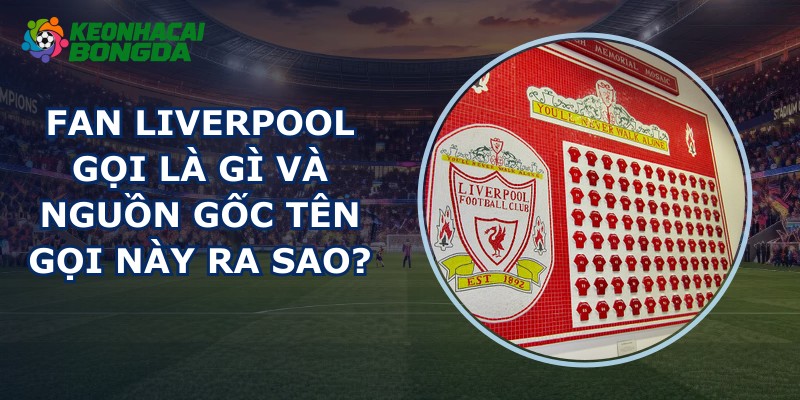 Fan Liverpool Gọi Là Gì