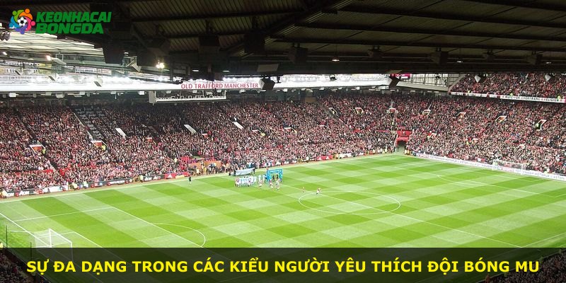 Sự đa dạng trong các kiểu người yêu thích đội bóng MU