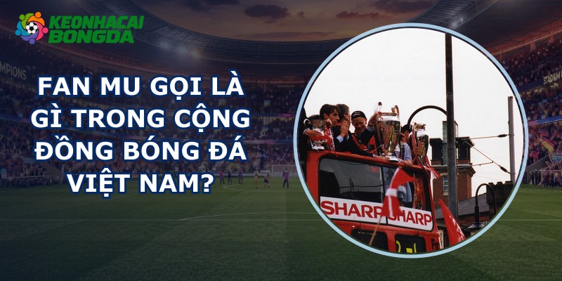 Fan Mu Gọi Là Gì