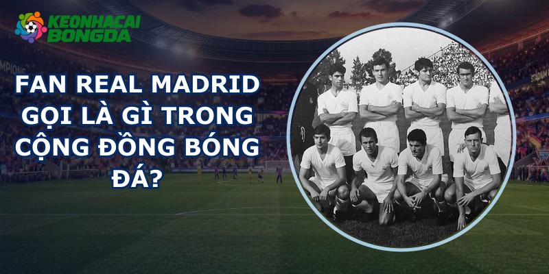 Fan Real Madrid Gọi Là Gì