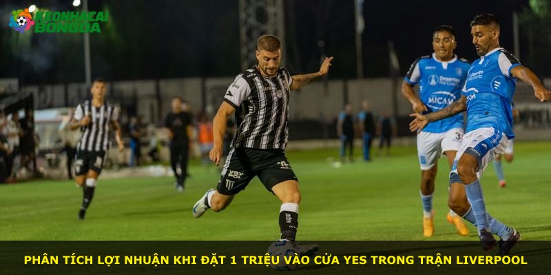 Phân tích lợi nhuận khi đặt 1 triệu vào cửa Yes trong trận Liverpool