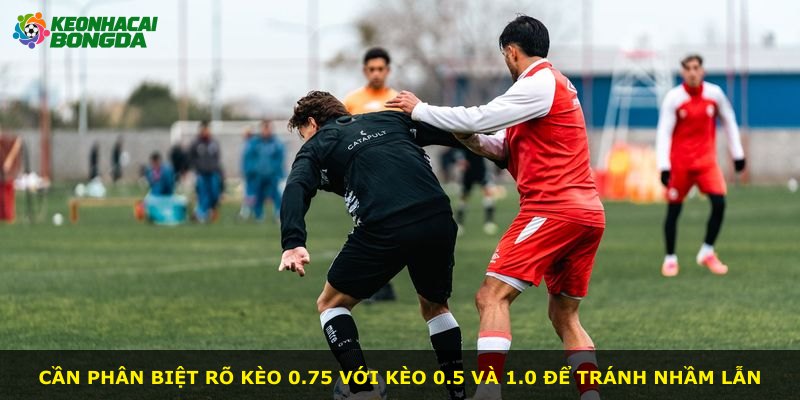 Cần phân biệt rõ kèo 0.75 với kèo 0.5 và 1.0 để tránh nhầm lẫn