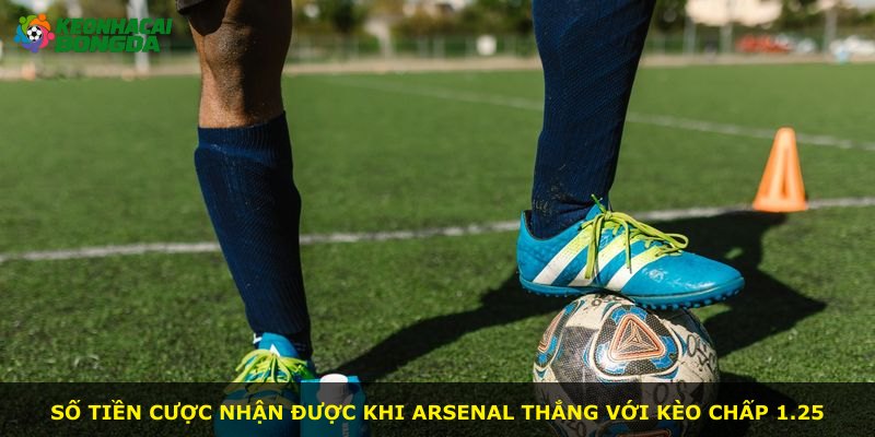 Số tiền cược nhận được khi Arsenal thắng với kèo chấp 1.25
