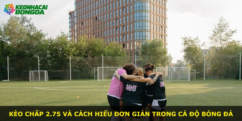 Kèo chấp 2.75 và cách hiểu đơn giản trong cá độ bóng đá