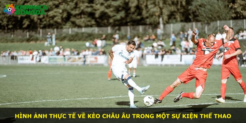 Hình ảnh thực tế về kèo Châu Âu trong một sự kiện thể thao