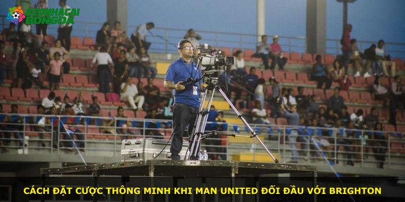 Cách đặt cược thông minh khi Man United đối đầu với Brighton