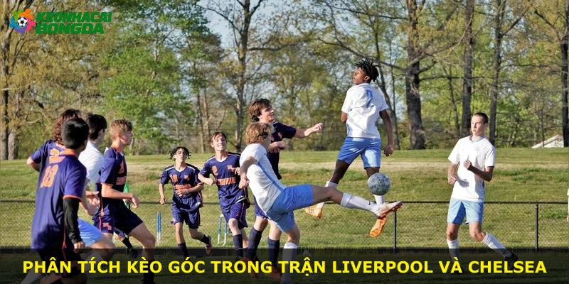 Phân tích kèo góc trong trận Liverpool và Chelsea