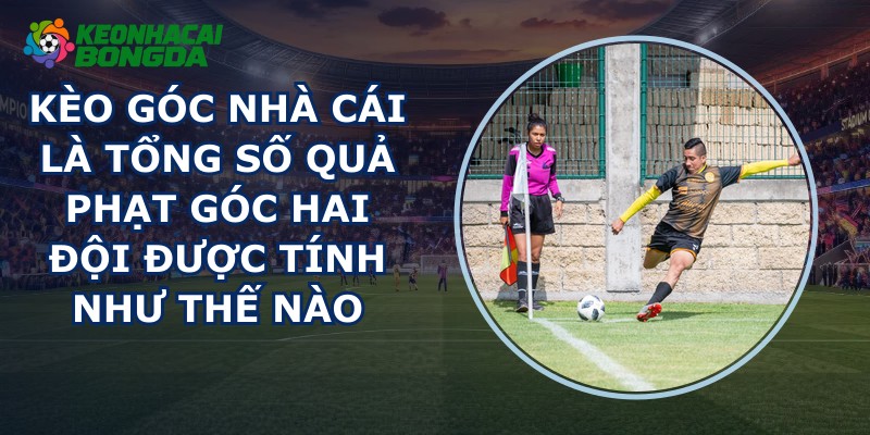 Kèo Góc Nhà Cái