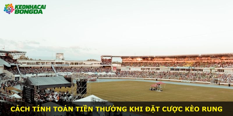 Cách tính toán tiền thưởng khi đặt cược kèo rung