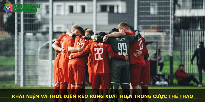 Khái niệm và thời điểm kèo rung xuất hiện trong cược thể thao