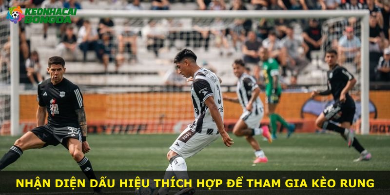 Nhận diện dấu hiệu thích hợp để tham gia kèo rung