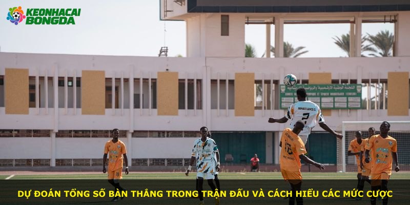 Dự đoán tổng số bàn thắng trong trận đấu và cách hiểu các mức cược