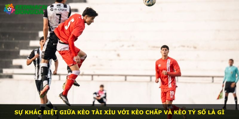 Sự khác biệt giữa kèo Tài Xỉu với kèo chấp và kèo tỷ số là gì