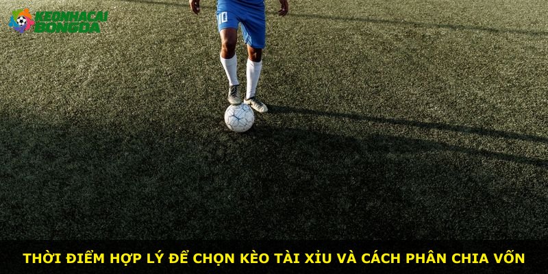 Thời điểm hợp lý để chọn kèo Tài Xỉu và cách phân chia vốn