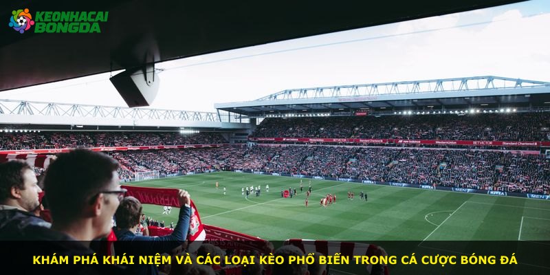Khám phá khái niệm và các loại kèo phổ biến trong cá cược bóng đá