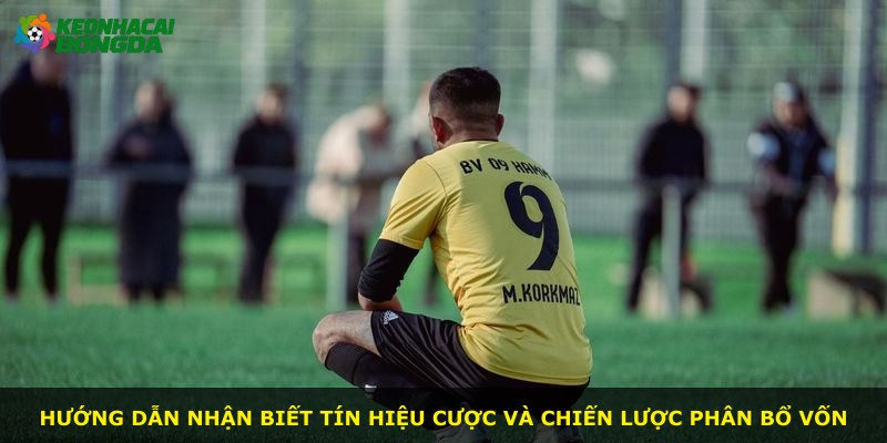 Hướng dẫn nhận biết tín hiệu cược và chiến lược phân bổ vốn