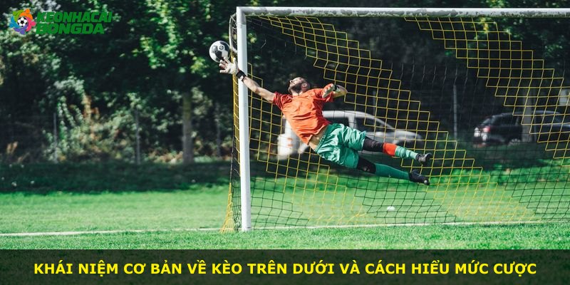Khái niệm cơ bản về kèo trên dưới và cách hiểu mức cược