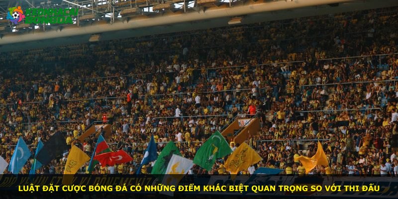 Luật đặt cược bóng đá có những điểm khác biệt quan trọng so với thi đấu