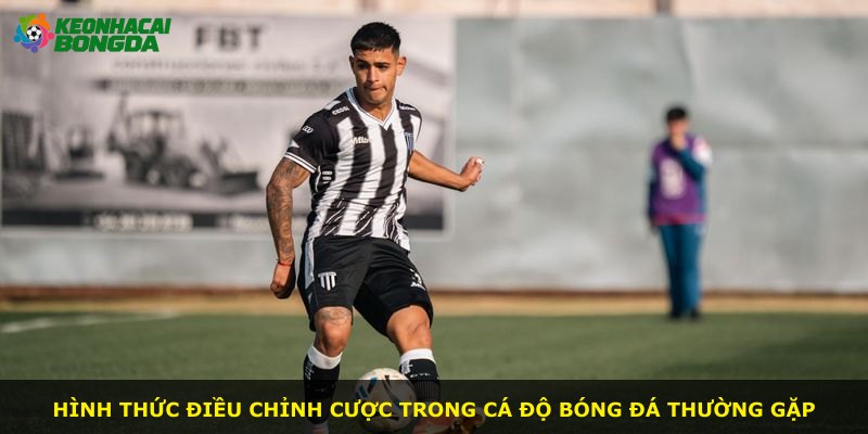 Hình thức điều chỉnh cược trong cá độ bóng đá thường gặp