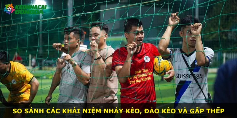 So sánh các khái niệm nhảy kèo, đảo kèo và gấp thếp