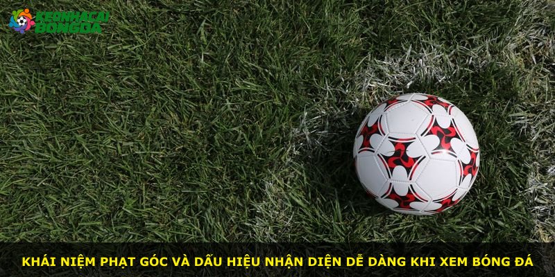 Khái niệm phạt góc và dấu hiệu nhận diện dễ dàng khi xem bóng đá