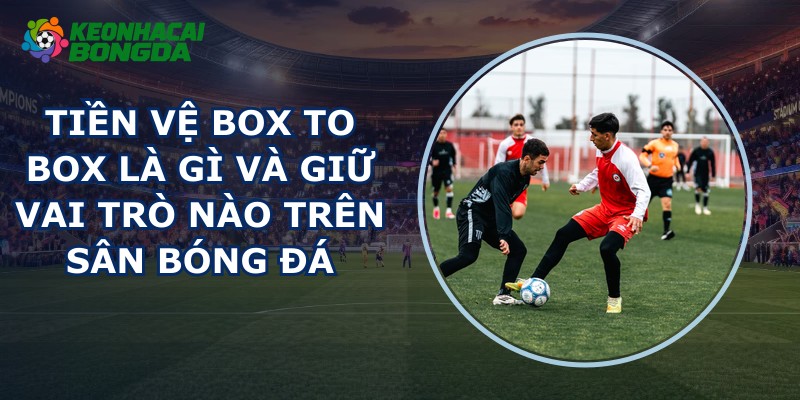 Tiền Vệ Box To Box Là Gì