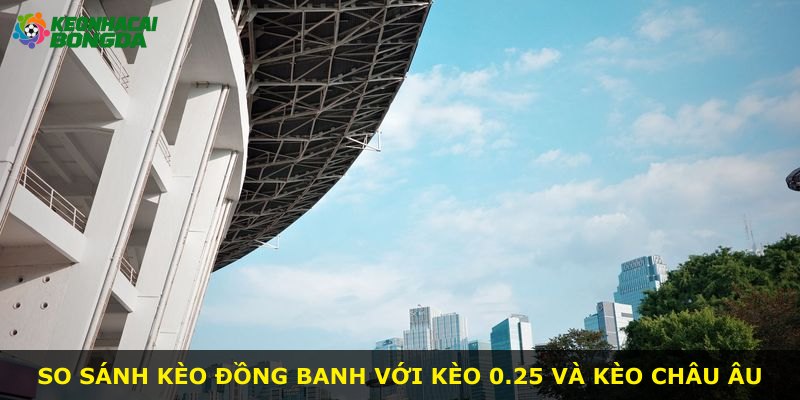 So sánh kèo đồng banh với kèo 0.25 và kèo châu Âu